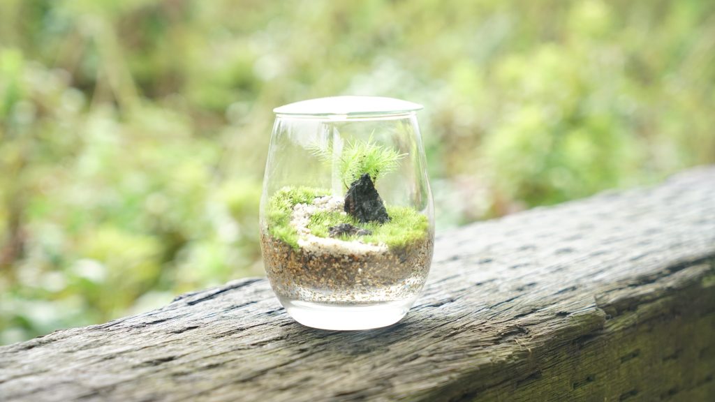 苔テラリウムを制作している手元