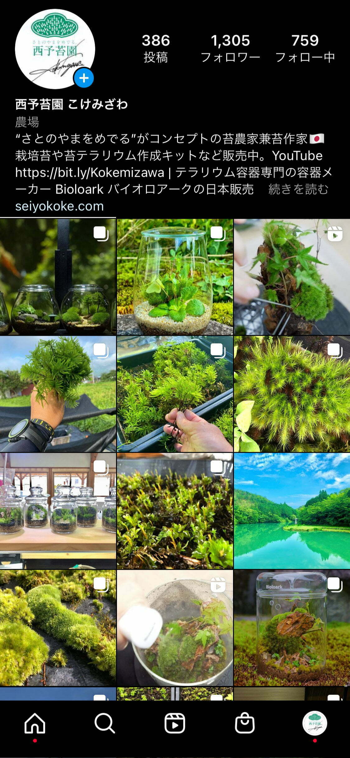 西予苔園のInstagramアカウントの画面。苔テラリウムや圃場の写真が並んでいる
