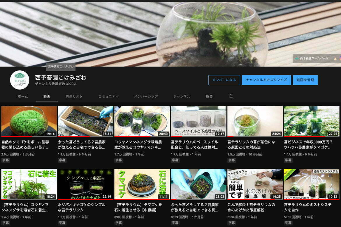 西予苔園のYouTubeチャンネルの画面。苔テラリウムや苔栽培の動画が並んでいる