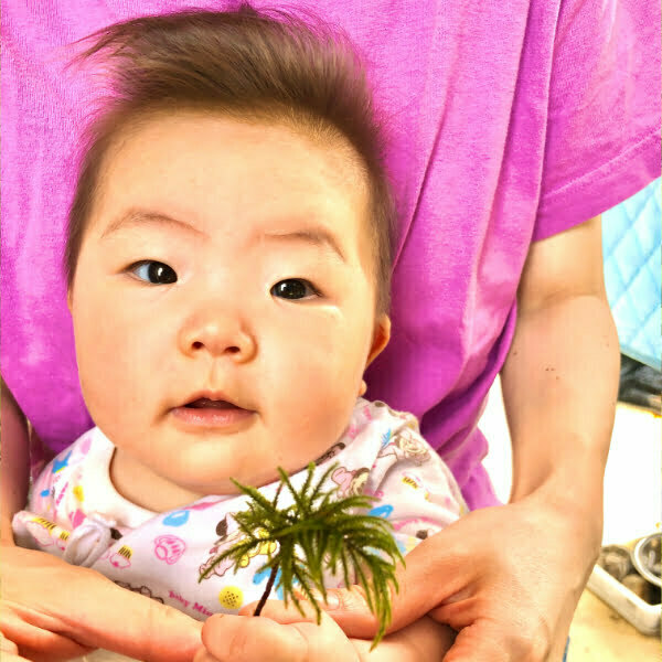 苔の上で子どもと向き合う様子