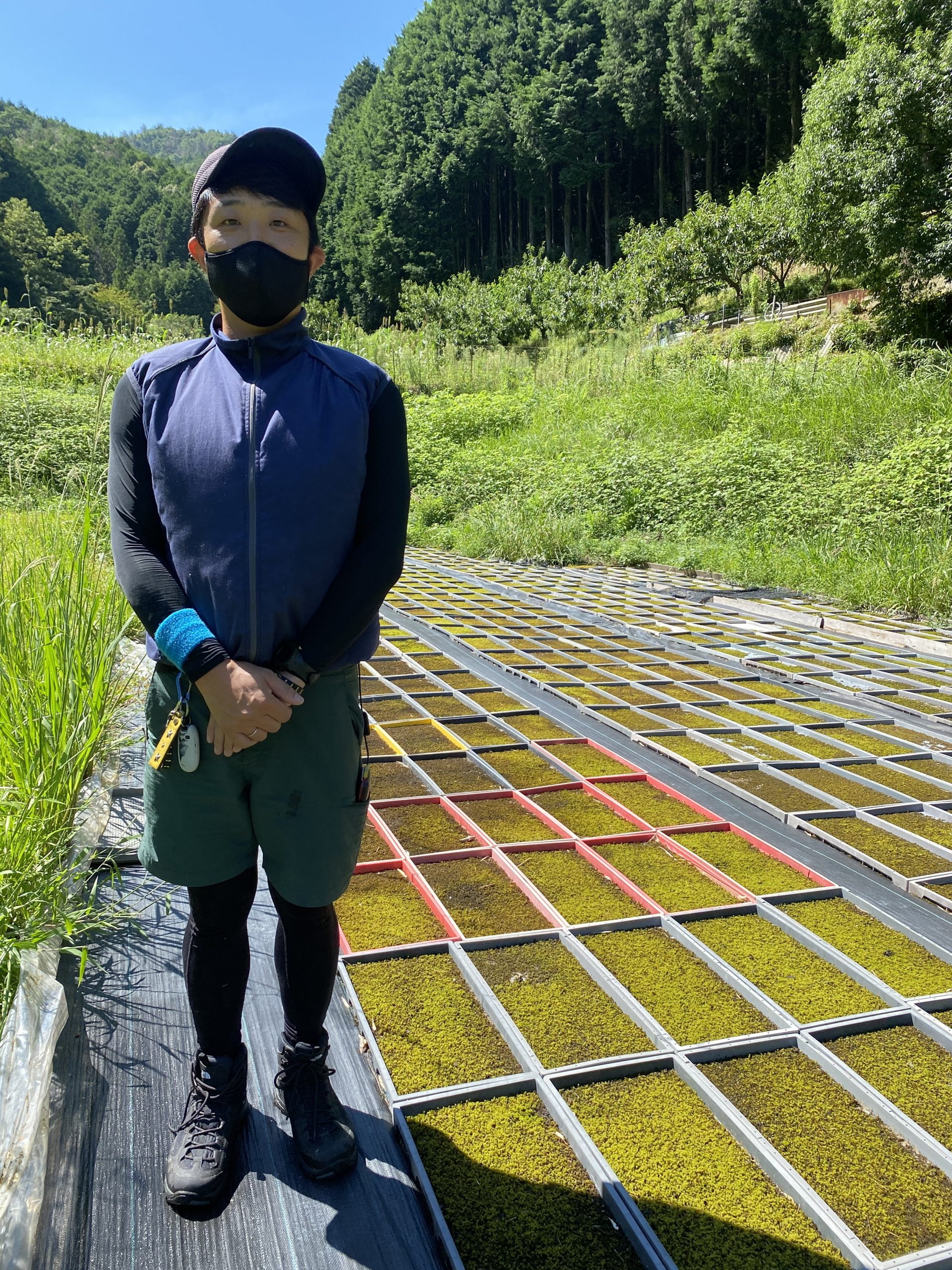 百姓百品さんのブログで西予苔園をご紹介頂きました