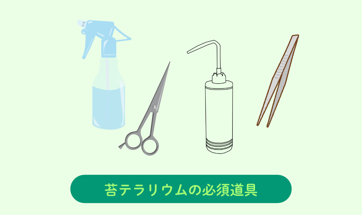 苔テラリウムの必須道具まとめ