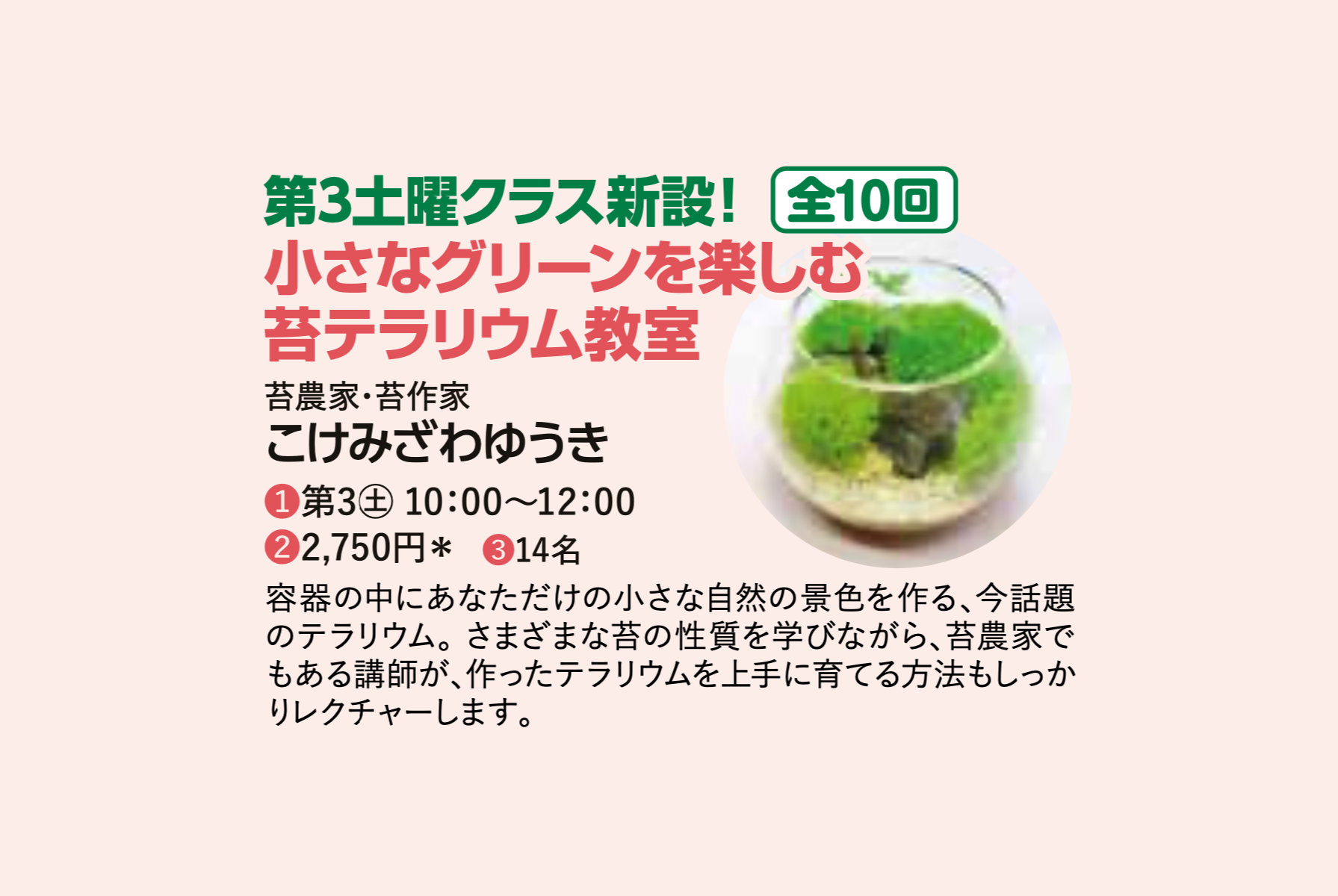 苔テラリウム講座、第3土曜日クラスが開講します