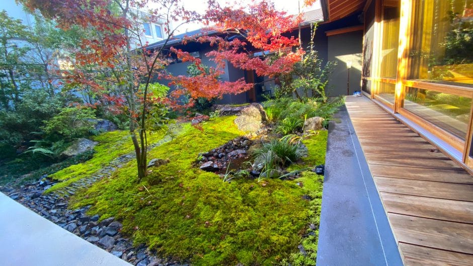 西予苔園が手がける苔庭