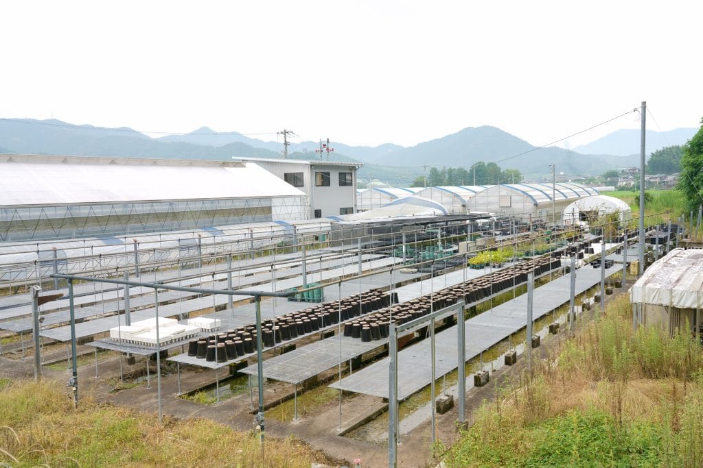 愛媛県西予市の山々と苔の栽培施設
