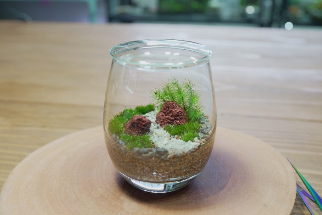 西予苔園アトリエで作る苔テラリウム作品