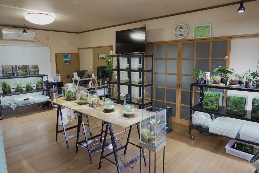 西予苔園アクセスマップ｜駐車場所とアトリエまでの道順
